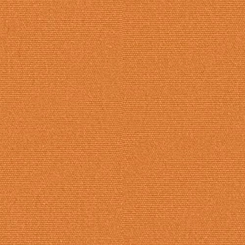 Orchestra Sable 0034 Orchestra Sable 0034